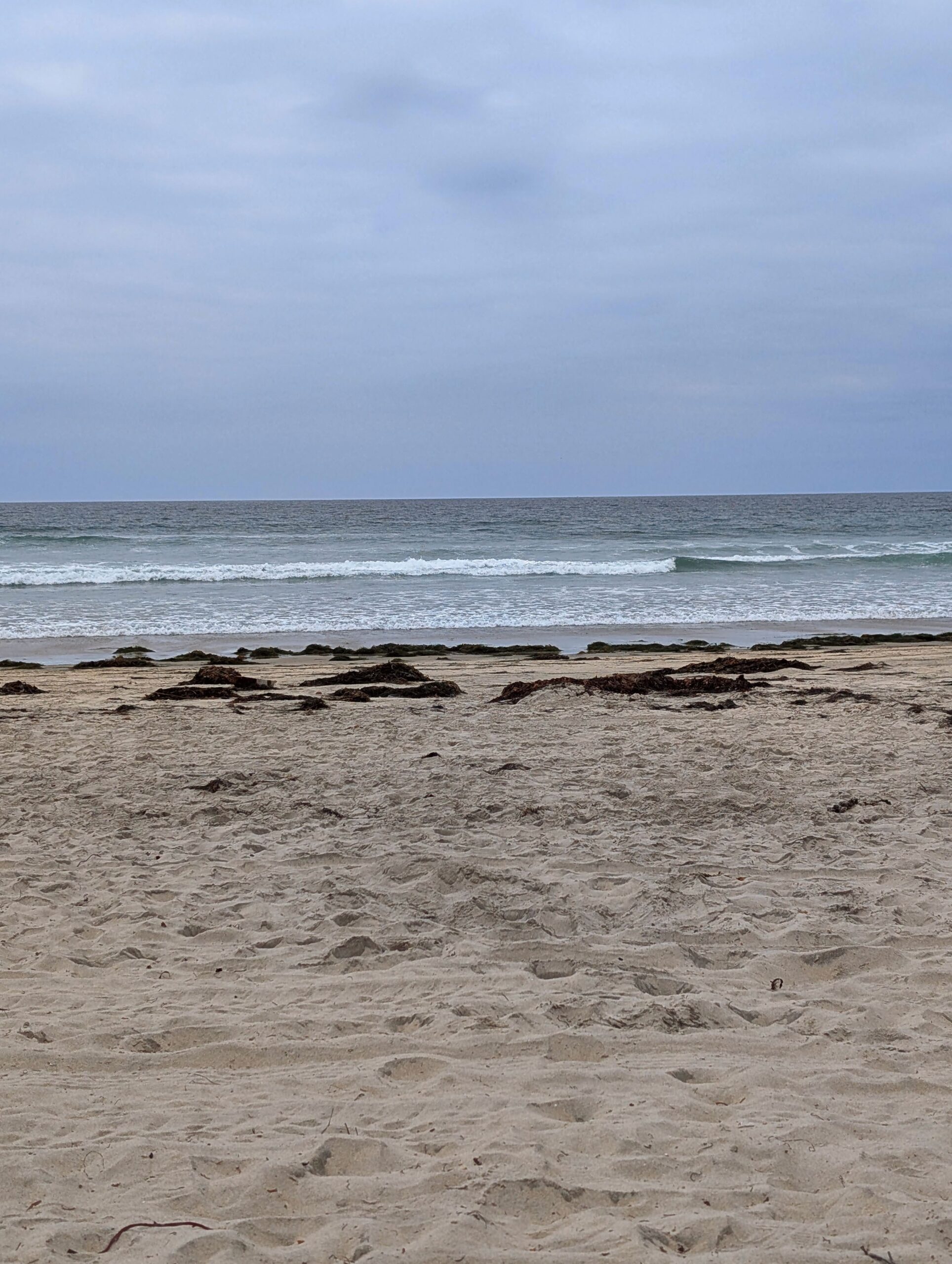 Hello California! [2025] – Trainer April's Blog